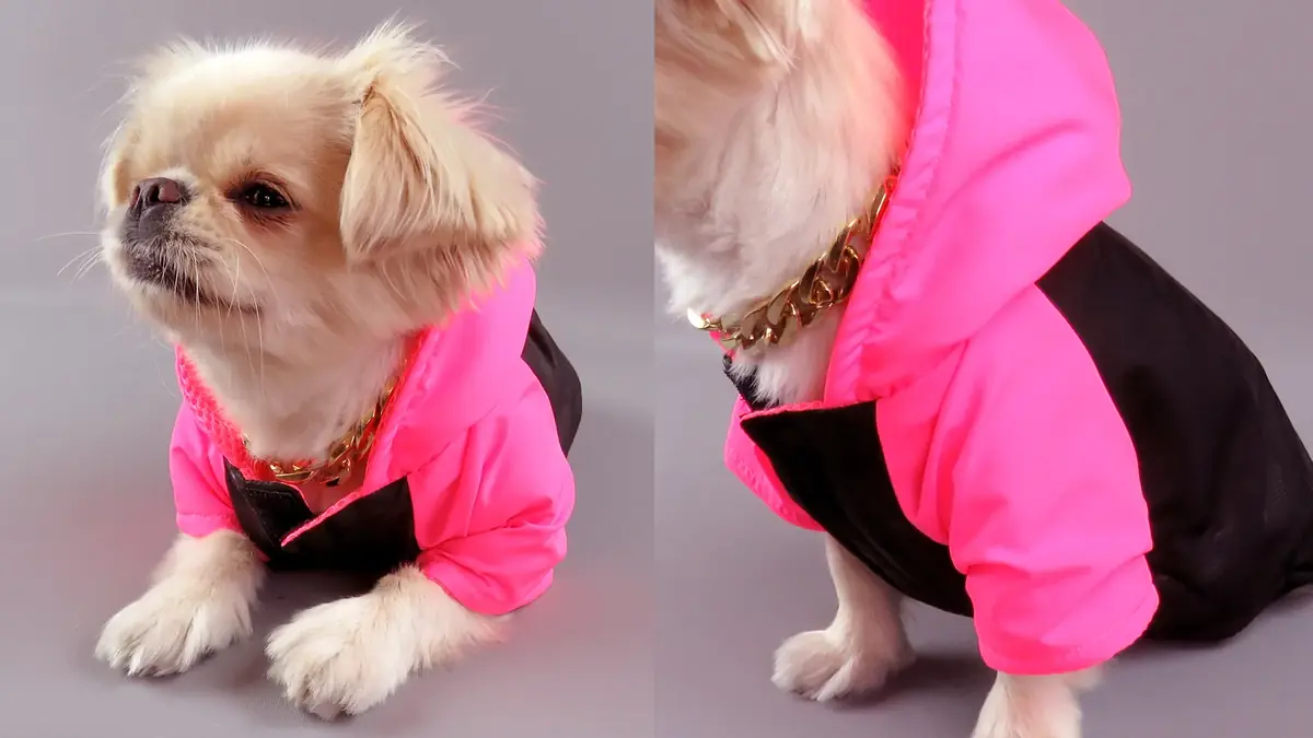 M Moda Tekstil